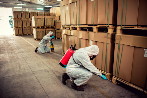 Best Mosquito Control Services  in Hallam, PA