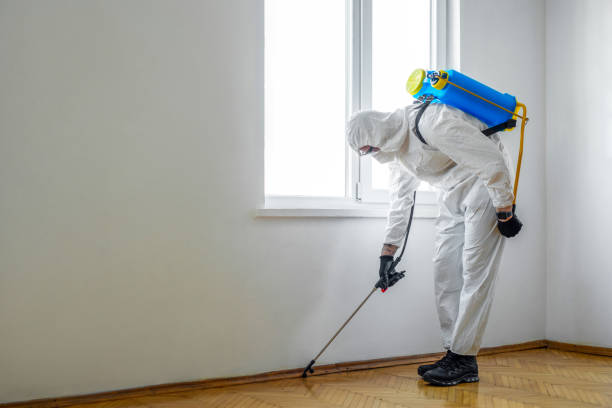 Best Exterminator Services  in Hallam, PA