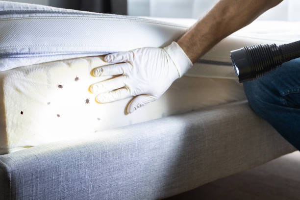 Best Best Pest Control Companies  in Hallam, PA