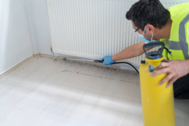Wasp Removal Services in Hallam, PA